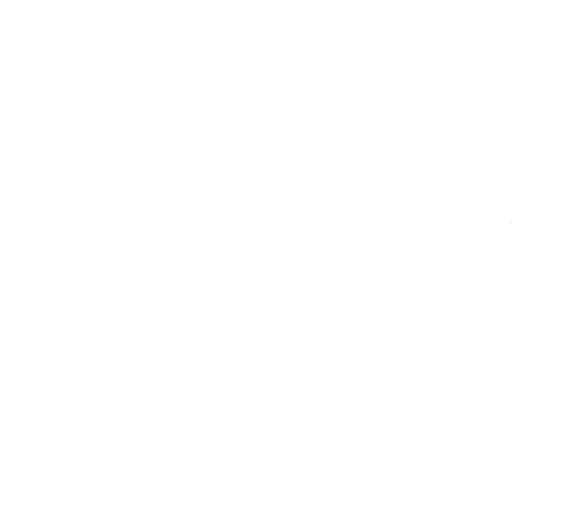 logo original - VitalAssit 2024_Mesa de trabajo 1 copia 3